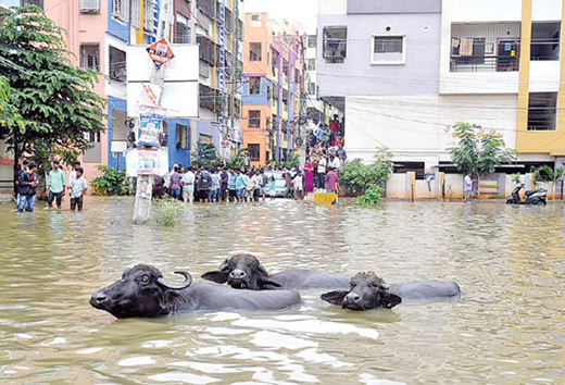 Hyderabad 2